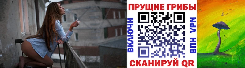 Галлюциногенные грибы Cubensis  площадка Telegram  Звенигово 